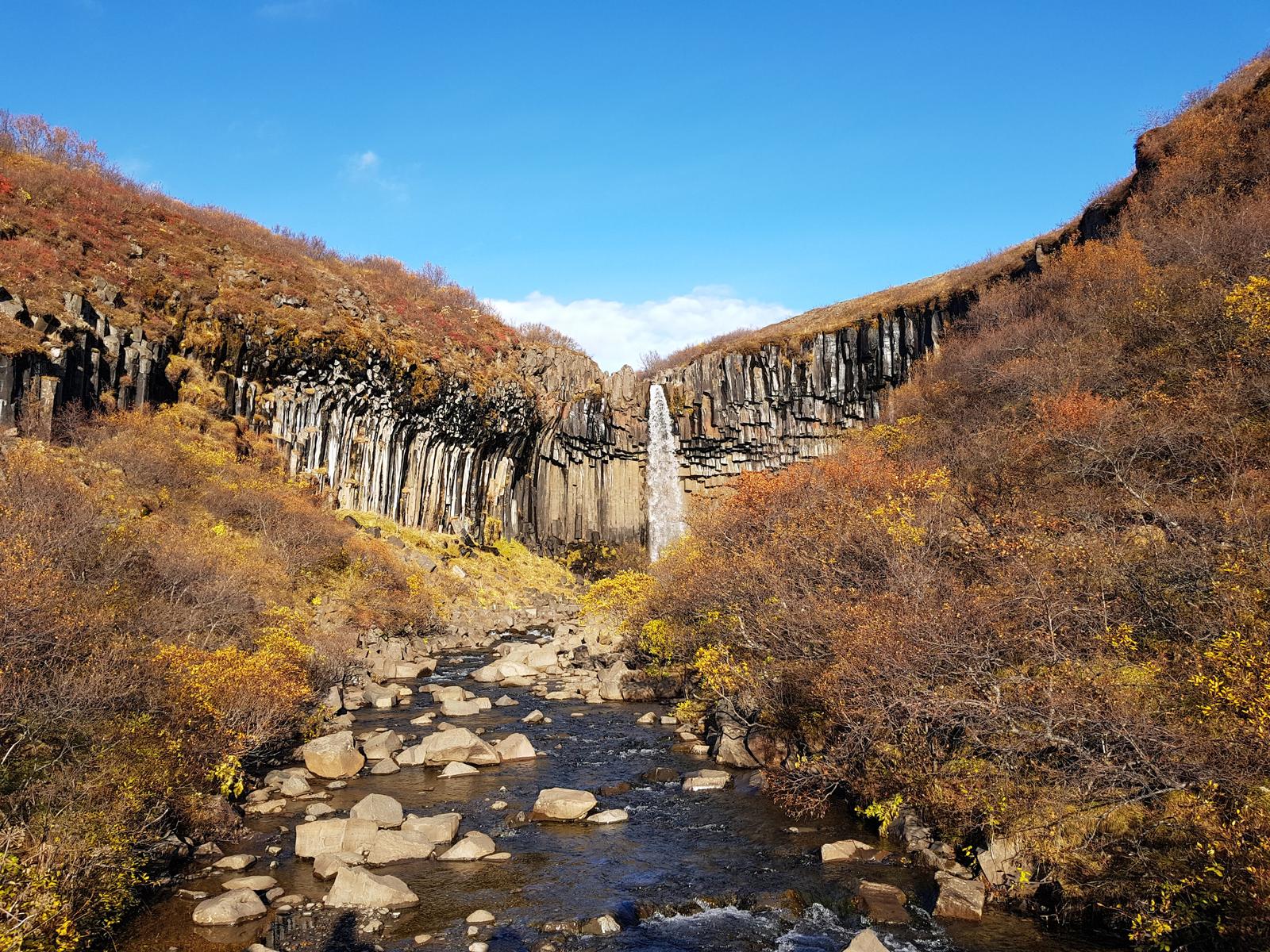 Svartifoss